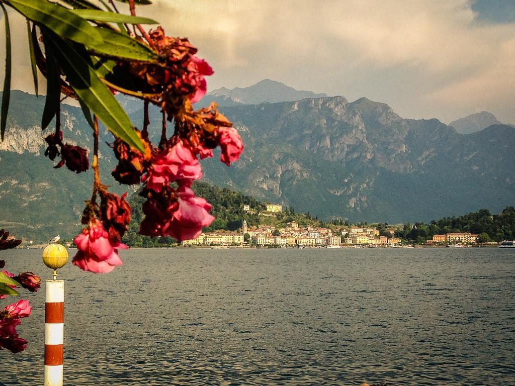 La Casa Di Celeste Ossuccio Oda fotoğraf